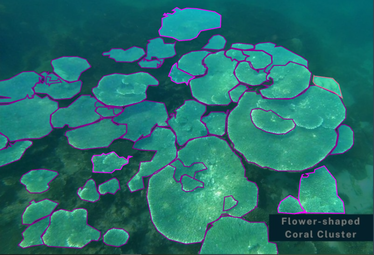 Coral data for generative AI