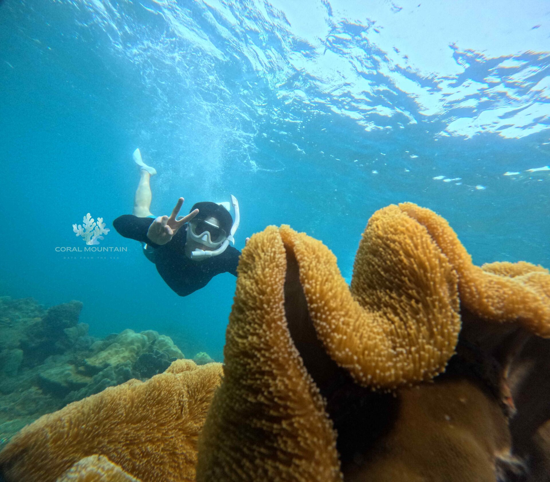 Underwater photos data for AI computer vision and generative AI