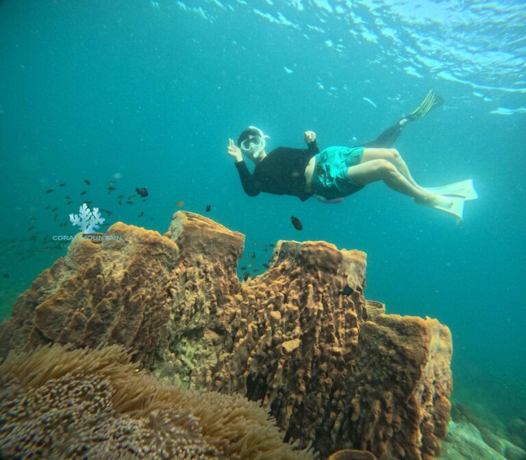 Underwater photos data for AI computer vision and generative AI