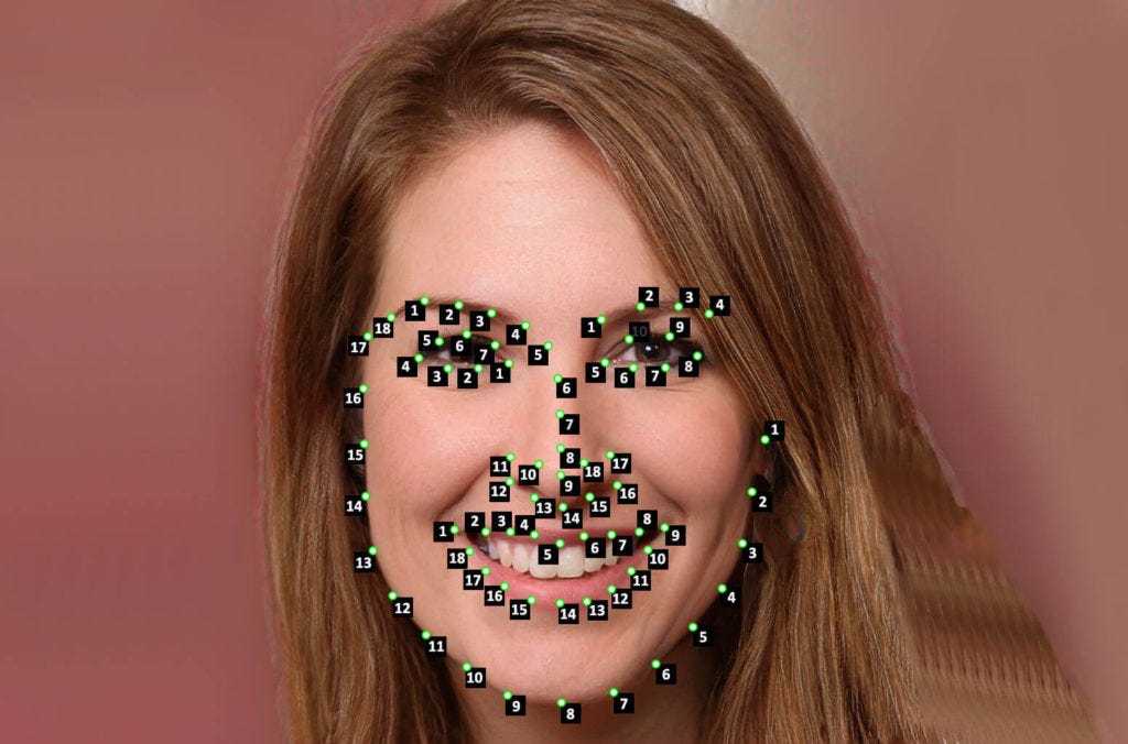 Landmark Annotation for Facial Recognition
