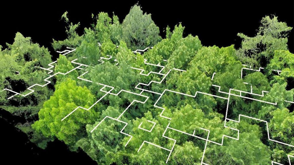 Field & Forest Analysis - Data Annotation Service Provider